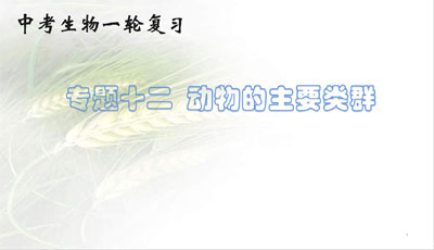 动物的主要类群（36张）备战2024年中考生物一轮复习考点帮（全国通用） - 课件吧