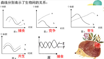 生物和生物圈（19张）备战2024年中考生物一轮复习（全国通用） - 课件吧