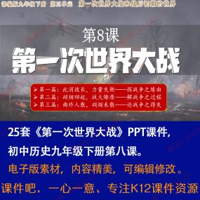 《第一次世界大战》PPT课件25套九年级下册历史第8课课堂教学