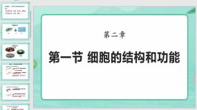 1-2-1 细胞的结构和功能（24页）七年级生物上册课件（济南版）