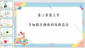 1-2-3 多细胞生物体的结构层次（17页）七年级生物上册课件（济南版）