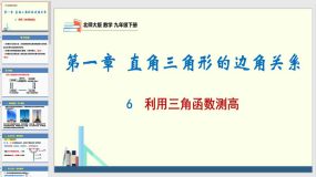 1-6 利用三角函数测高（课件）（24页）九年级数学下册堂（北师大版）