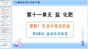 11-1生活中常见的盐（第3课时盐的化学性质）课件-2023-2024学年九年级化学人教版下册（18页）