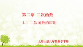 2-4-1 二次函数的的应用（第1课时）（课件）（21张）九年级数学下册（北师大版）