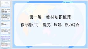 2024年中考山东专用物理一轮知识点梳理复习微专题(二)密度、压强、浮力综合（19页）