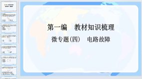 2024年中考山东专用物理一轮知识点梳理复习微专题(四)电路故障（14页）