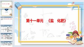 2024年广东省中考化学一轮知识点梳理复习-第11单元盐 化肥（39页）