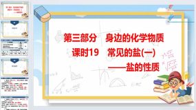 2024年广东省中考化学一轮知识点梳理复习课时19：常见的盐(一)——盐的性质（53页）