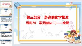 2024年广东省中考化学一轮知识点梳理复习课时20常见的盐(二)——化肥（41页）