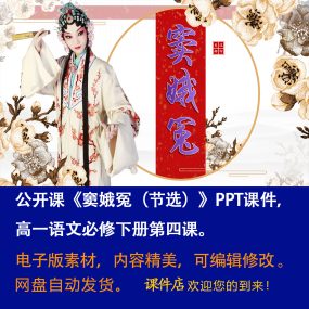 《窦娥冤（节选）》PPT课件公开课高一语文必修下册第4课教学课件