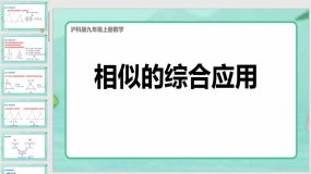 22-2相似形-相似的综合应用课件（34页）沪科版数学九年级上册