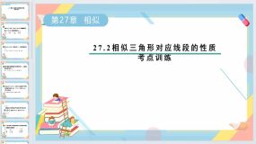 27.2相似三角形对应线段的性质考点训练课件2023-2024学年人教版九年级数学下册（19页）