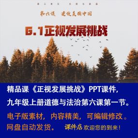 《正视发展挑战》PPT课件精品课初中九年级上册道法第六课第1节