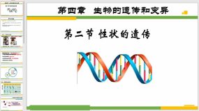 4-4-2 性状的遗传（20页）八年级生物上册课件（济南版）