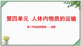 4-4-2 血流的管道——血管（26张）七年级生物下册同步课件（人教版七下）