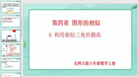 4-6 利用相似三角形测高（课件）（24页）九年级数学上册（北师大版）