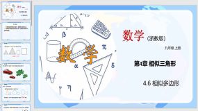 4-6 相似多边形（教学课件）（26页）九年级数学上册（浙教版）