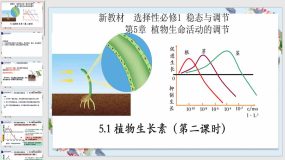 5-1 植物生长素（第二课时）（27页）生物教学课件