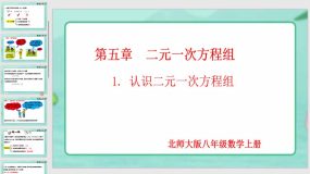 5-1 认识二元一次方程组（课件）（18页）八年级数学上册（北师大版）