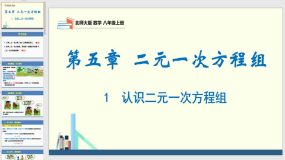 5-1 认识二元一次方程组（课件）（28页）八年级数学上册（北师大版）