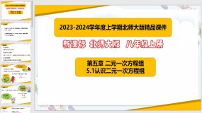 5-1认识二元一次方程组（课件）（25页）八年级数学上册（北师大版）