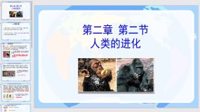 5-2-2 人类的进化-八年级生物下册（济南版）（14页）