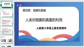 5-4-5 人类对细菌和真菌的利用（26页）八年级生物上册同步课件（人教版）