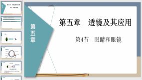 5-4眼睛和眼镜（课件）（22页）八年级物理上册（人教版）