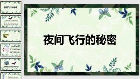 6 夜间飞行的秘密 课件（34页）2023-2024学年语文四年级上册（统编版）