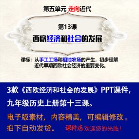 《西欧经济和社会的发展》PPT课件3套初中九年级上册历史第十三课