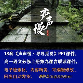 《声声慢·寻寻觅觅》PPT课件18套高一语文必修上第9课含联读课件