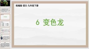 6《变色龙》（47页）九年级语文下册课件（统编版）