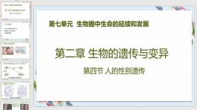 7-2-4 人的性别遗传（27页）八年级生物下册教学课件（人教版）