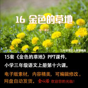 《金色的草地》PPT课件15套小学三年级上册语文第十六课教学课件