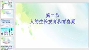 8-2 人的生长发育和青春期（26页）七年级生物下册课件（苏教版）