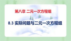 8-3  实际问题与二元一次方程组（课件）（25张）2023-2024学年七年级数学下册同步备课系列（人教版）