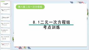 8.1二元一次方程组考点训练课件2023-2024学年人教版七年级数学下册（24页）