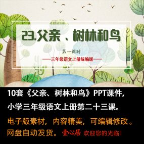 《父亲、树林和鸟》PPT课件10套小学三年级上册语文第二十三课