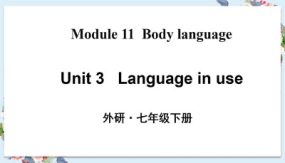 Module 11 Unit 3（43张）七年级英语下册（外研版）