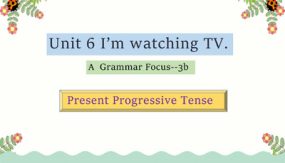 U6 Section A Grammar Focus-3b 课件（21张）七下英语课件（人教新目标）