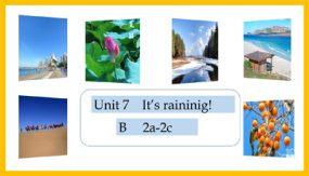 U7 Section B 2a-2c 课件（16张）七年级下学期英语课件（人教新目标）