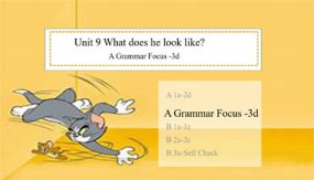 U9 Section A Grammar Focus-3d 课件（19张）七年级下学期英语（人教新目标）