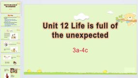 Unit 12 Section A Grammar Focus -4c 课件2023-2024学年人教版九年级英语全册（32页）