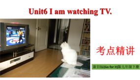 Unit 6 单元考点笔记课件（期中复习）（54张）七年级下册基础知识（人教版）