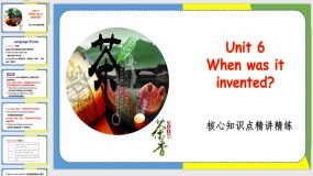 Unit 6 核心考点精讲精练（45页）九年级英语全册课件（人教版）