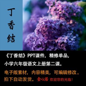 《丁香结》PPT课件精修单品六年级上册语文第二课同步教学课件ppt