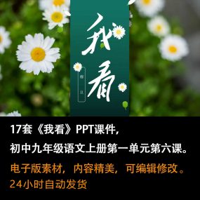 《我看》PPT课件17套九年级语文上册第六课PPT课件