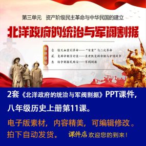 《 北洋的统治与军阀割据》PPT课件2套八年级上册历史第11课