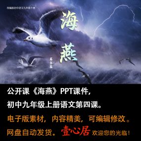 《海燕》PPT课件精品课初中九年级语文下册第4课语文教学课件