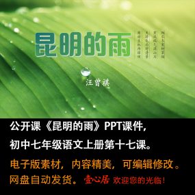 《昆明的雨》PPT课件公开课初中八年级上册语文第17课